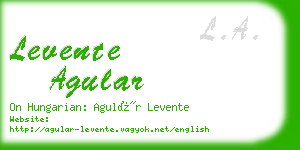 levente agular business card